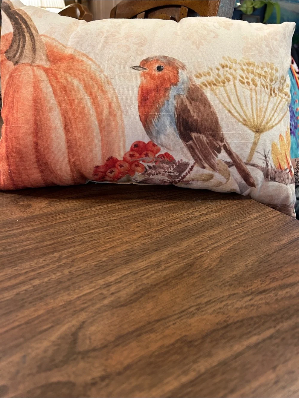 Autumn Robin Pumpkin Accent Pillow - Cream and Orange